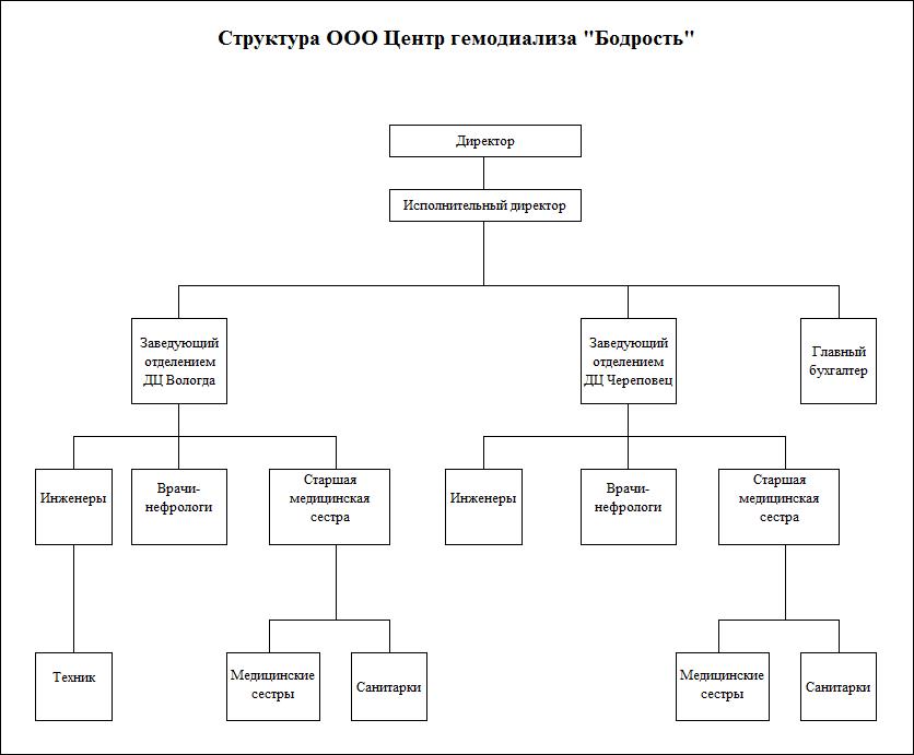 Структура организации 